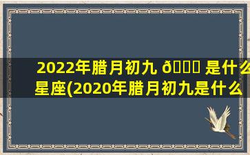 2022年腊月初九 🐘 是什么星座(2020年腊月初九是什么日子好不好)